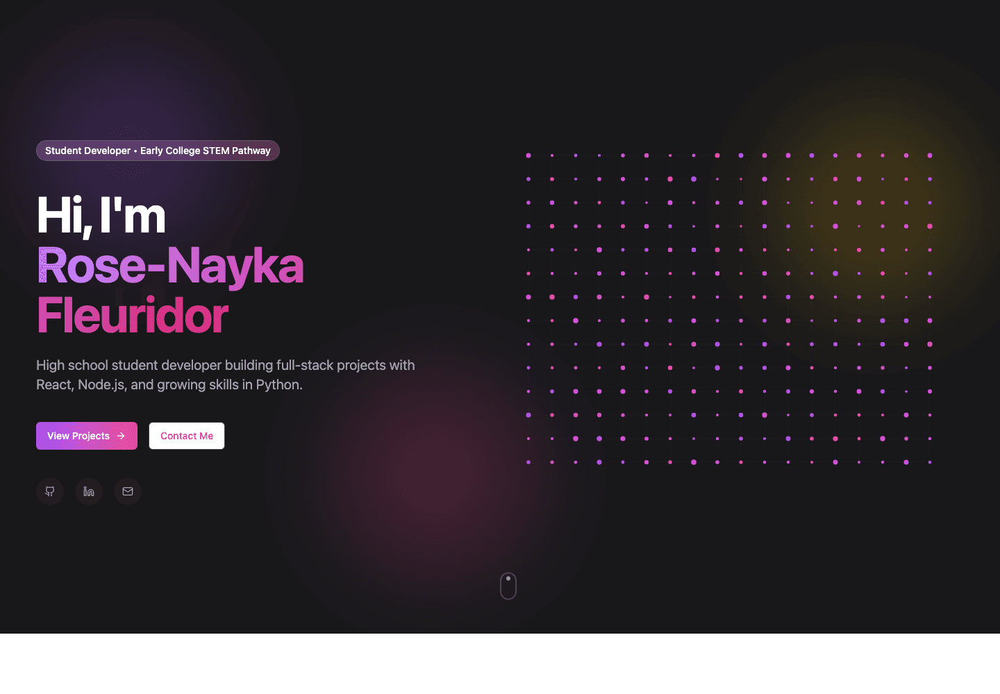 Nayka's Portfolio website preview